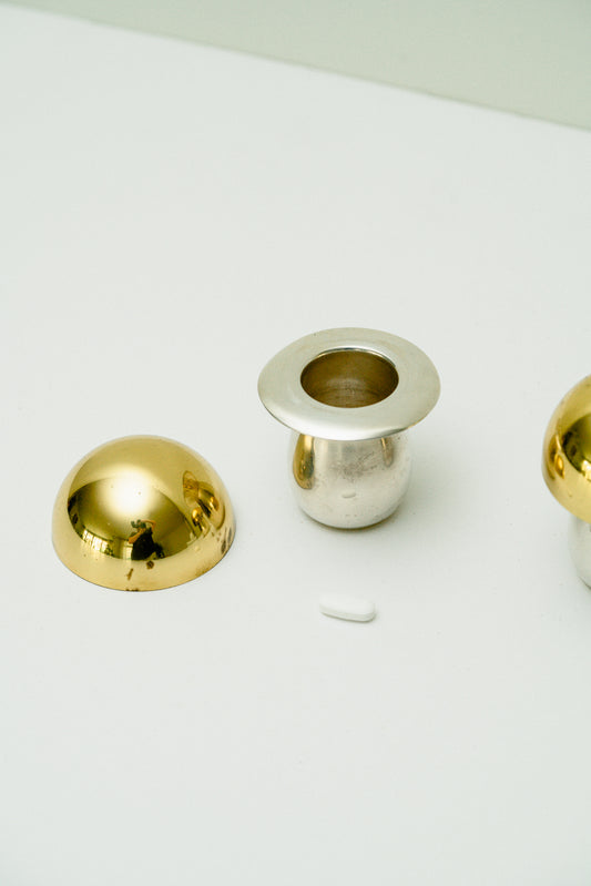 Set of 2 mushroom pill boxes