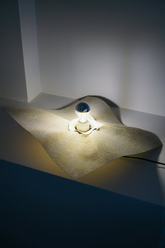 Area lamp by Mario Bellini for Artemide (set of 2), 1974