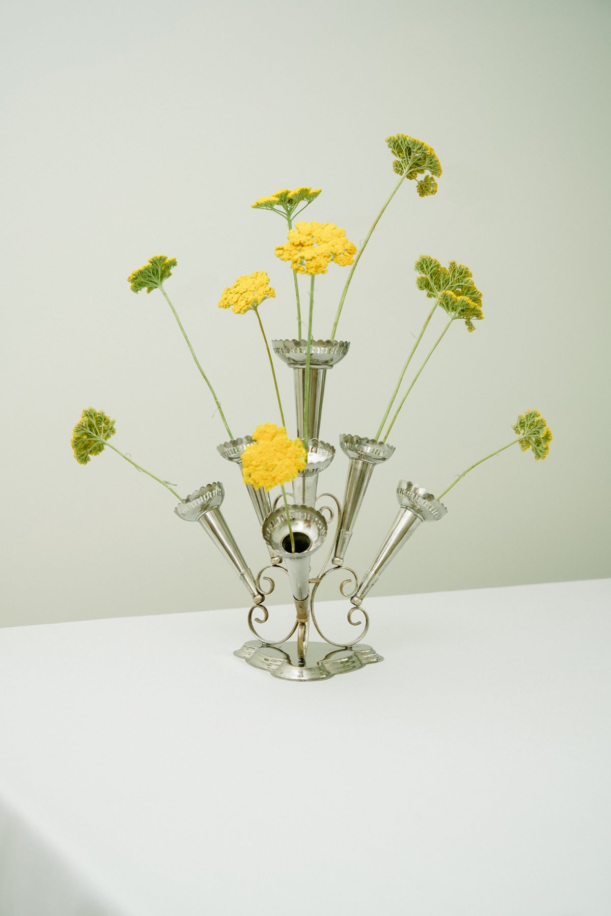Soliflore, 7 vases