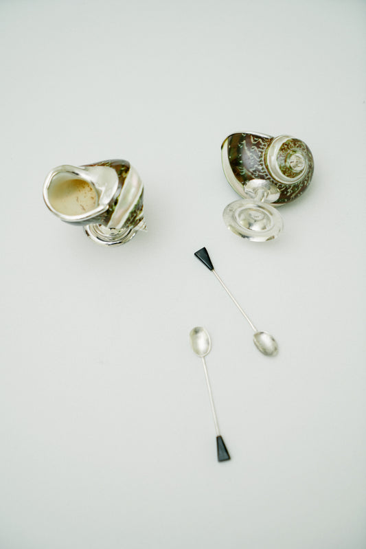 Set of 2 turbo shell salt cellars