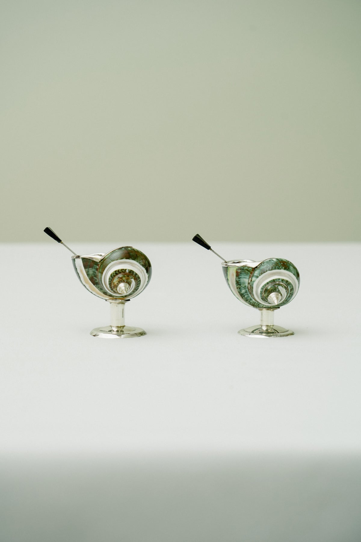 Set of 2 turbo shell salt cellars