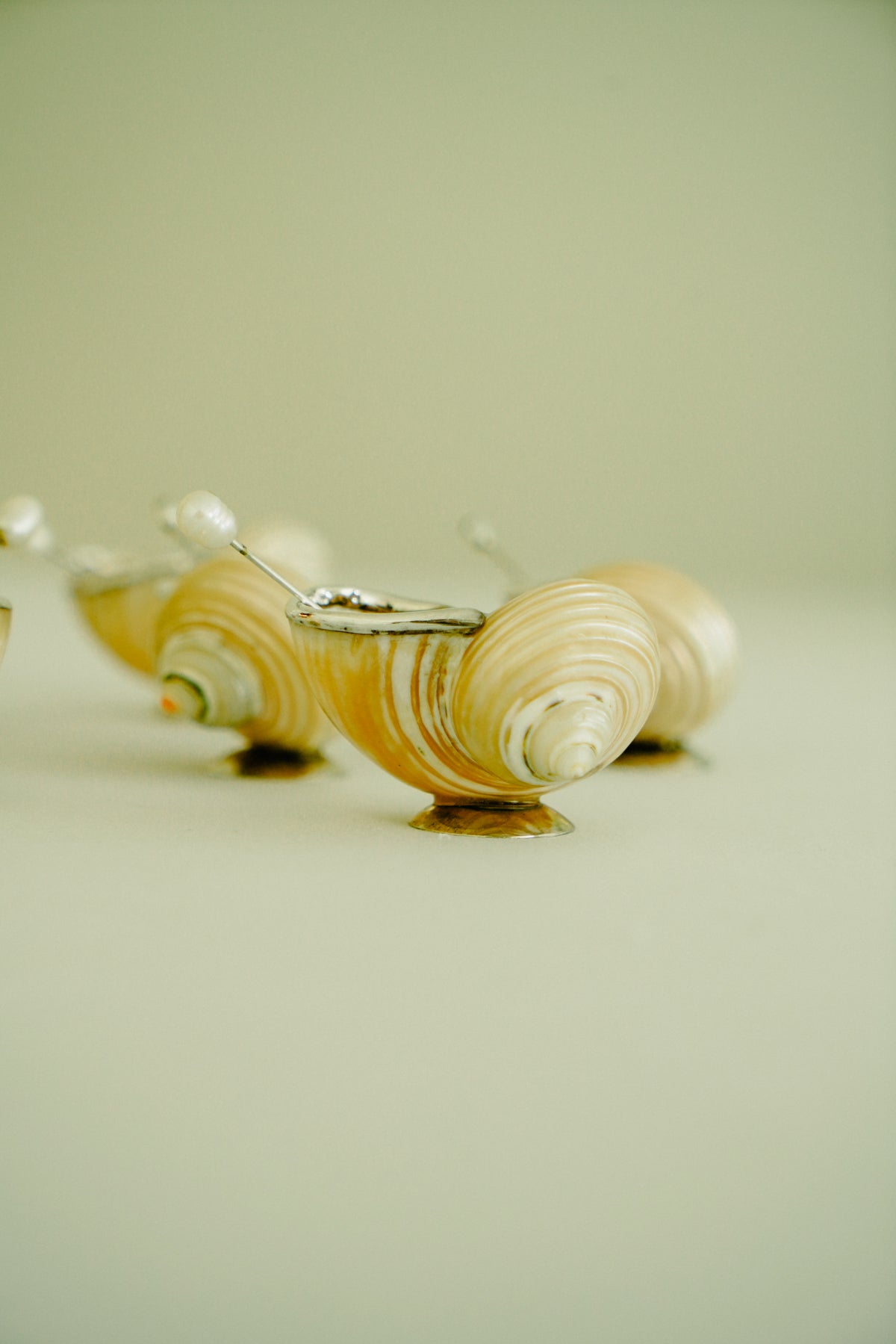 Set of 2 natural shell salt cellars