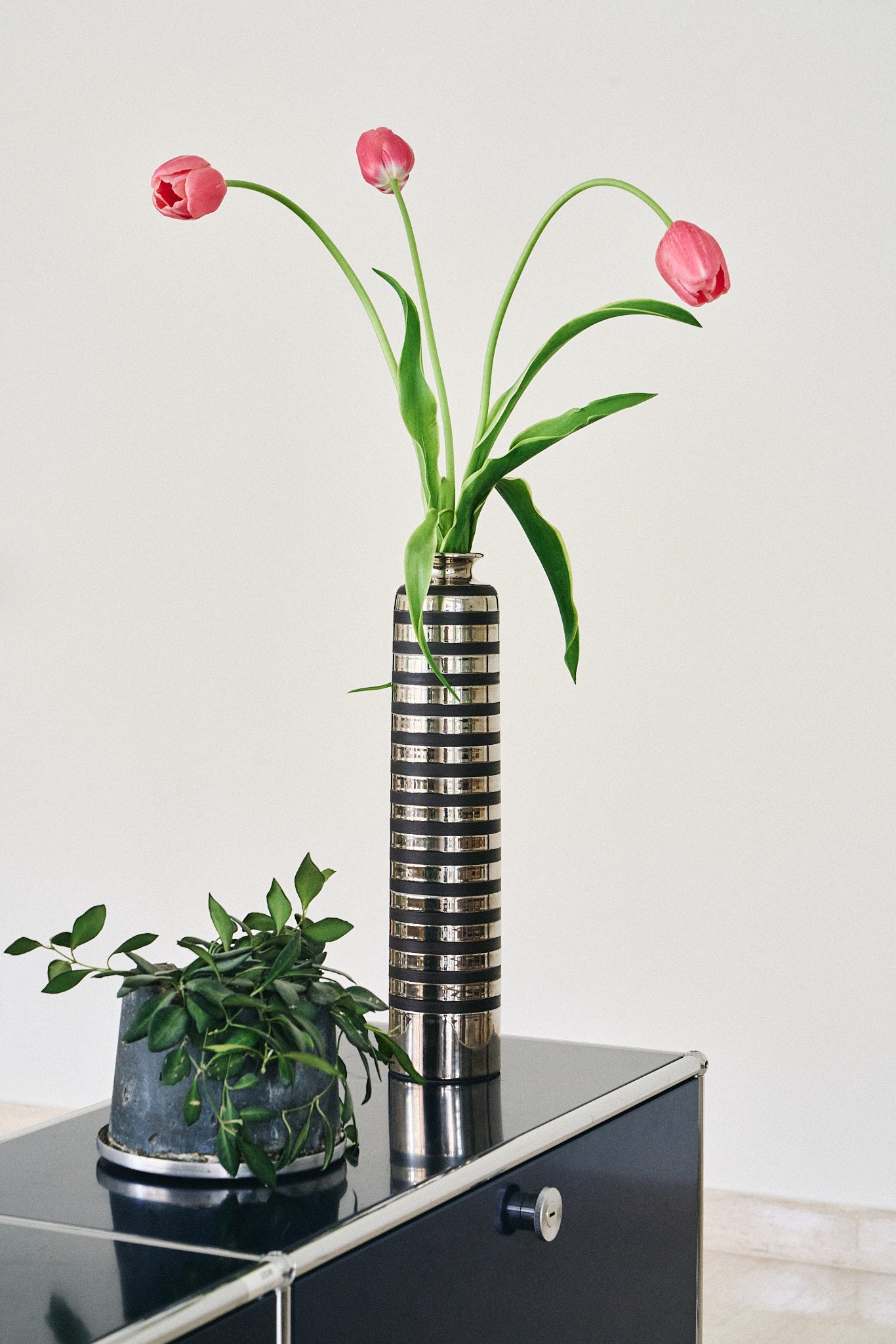 Bitossi ceramic vase by Aldo Londi