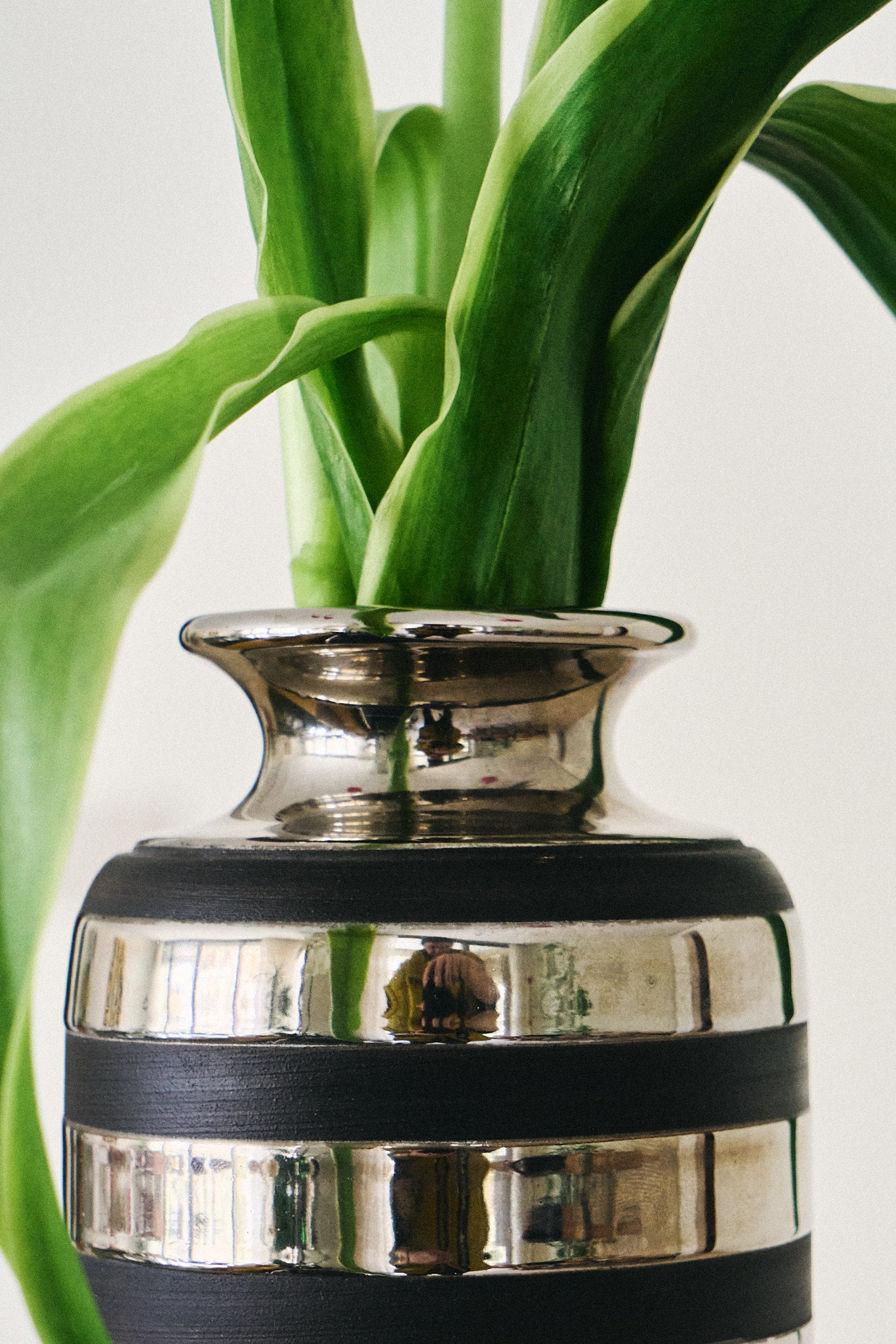 Bitossi ceramic vase by Aldo Londi