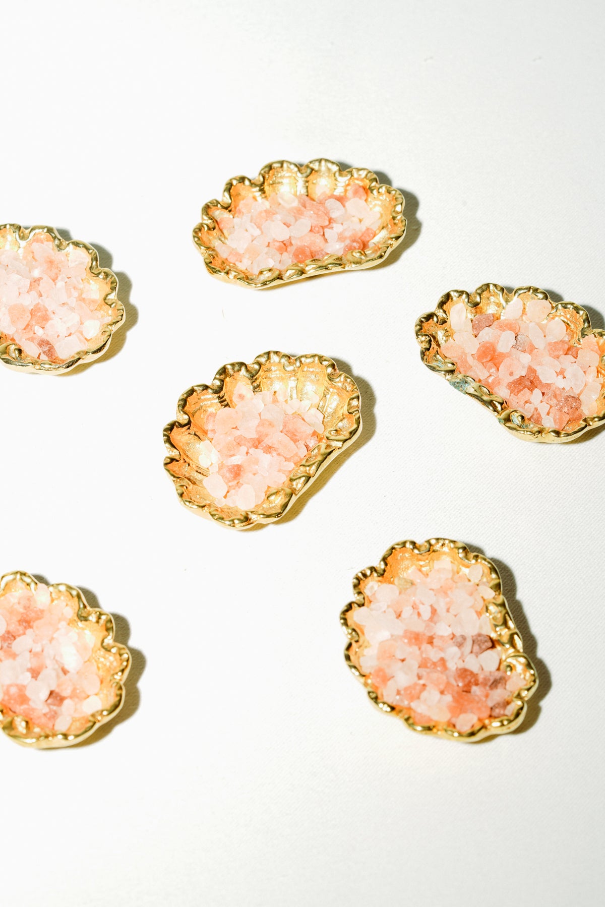 Set of 6 shell salt cellars