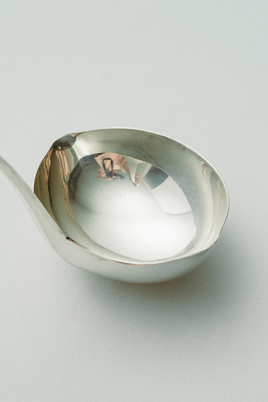 Double spouted serving ladle