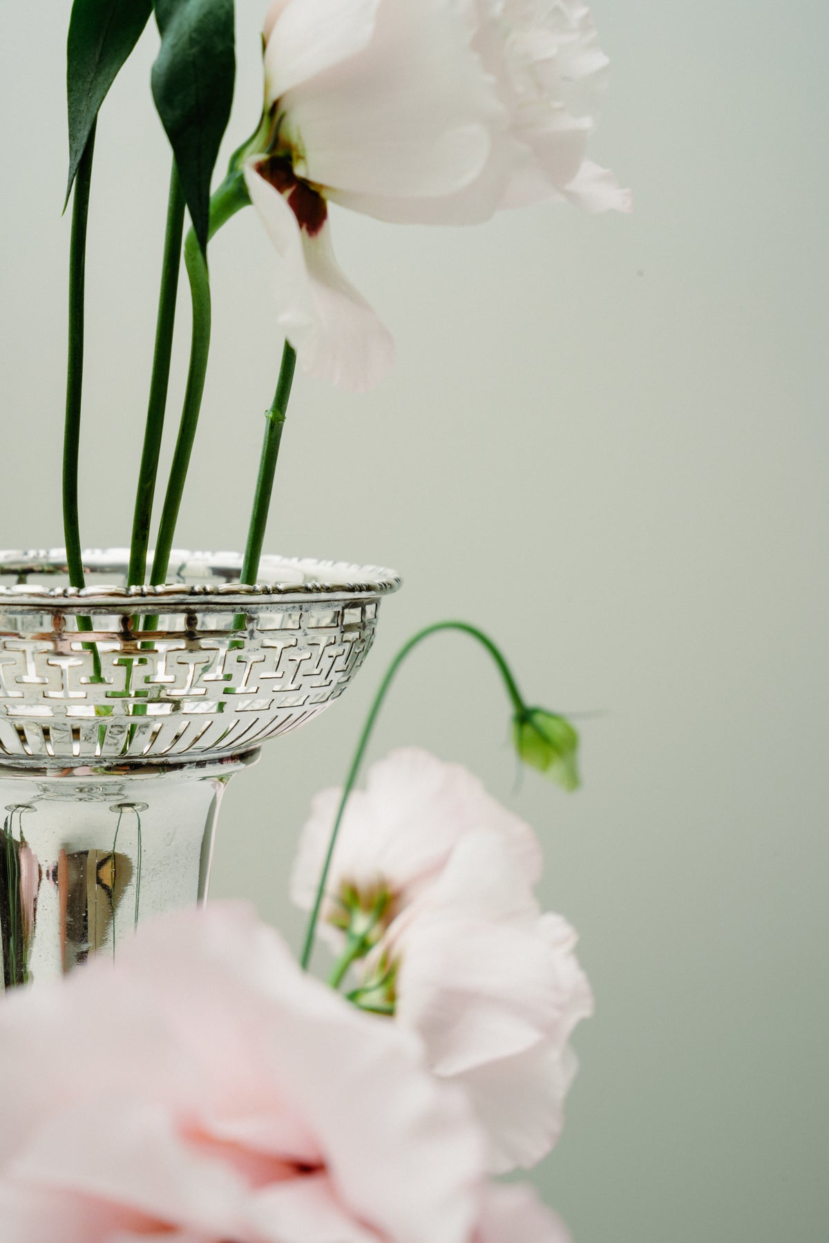 Soliflore, 4 vases