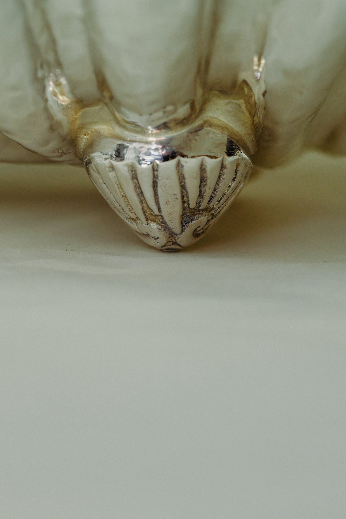 Shell shaped bowls (set of 2)