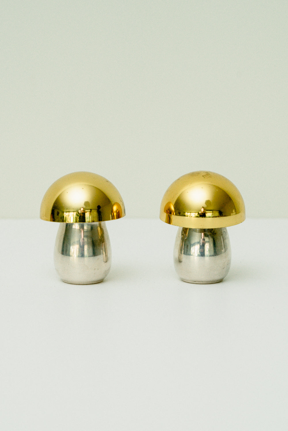 Set of 2 mushroom pill boxes