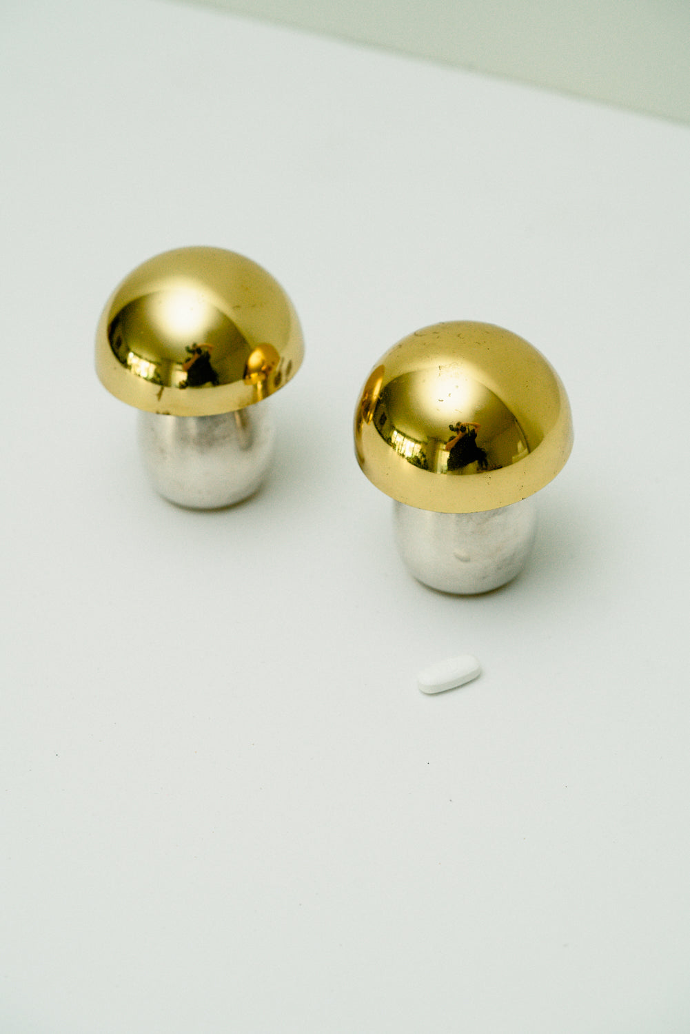 Set of 2 mushroom pill boxes