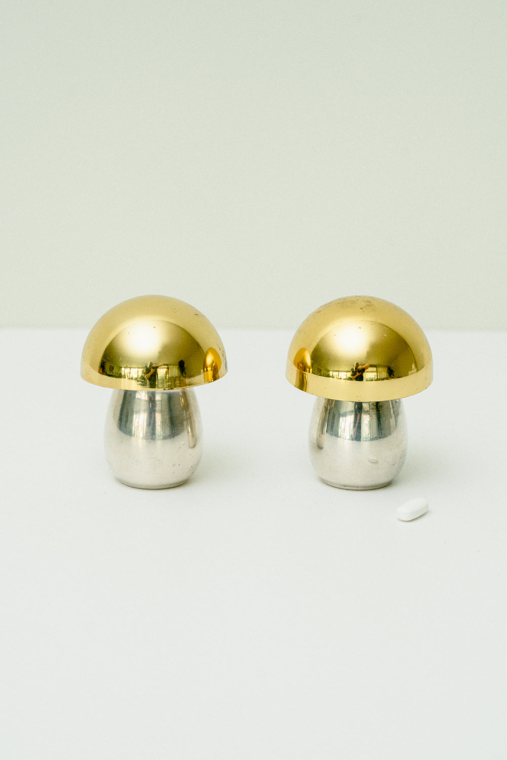 Set of 2 mushroom pill boxes