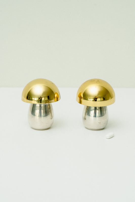 Set of 2 mushroom pill boxes