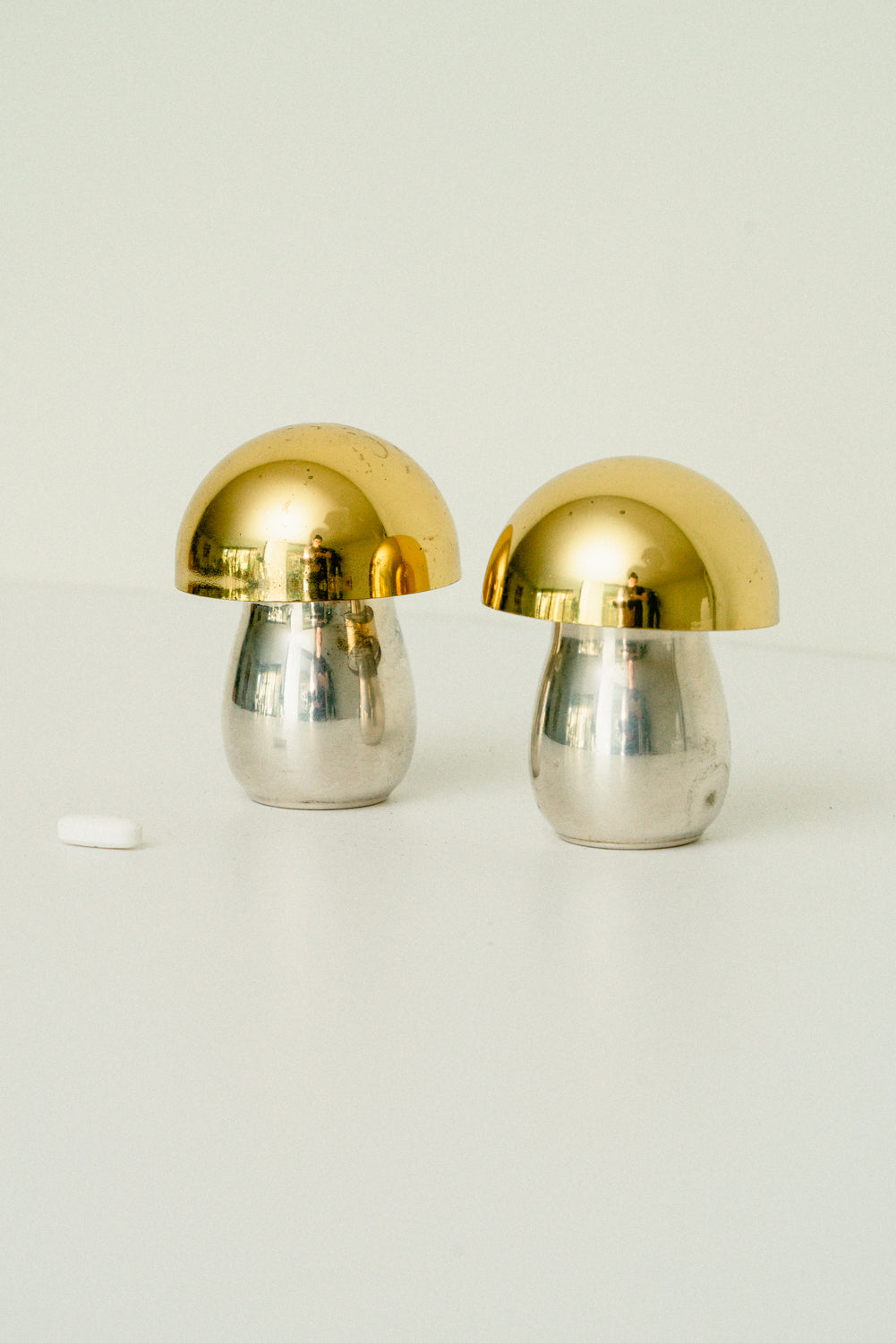 Set of 2 mushroom pill boxes