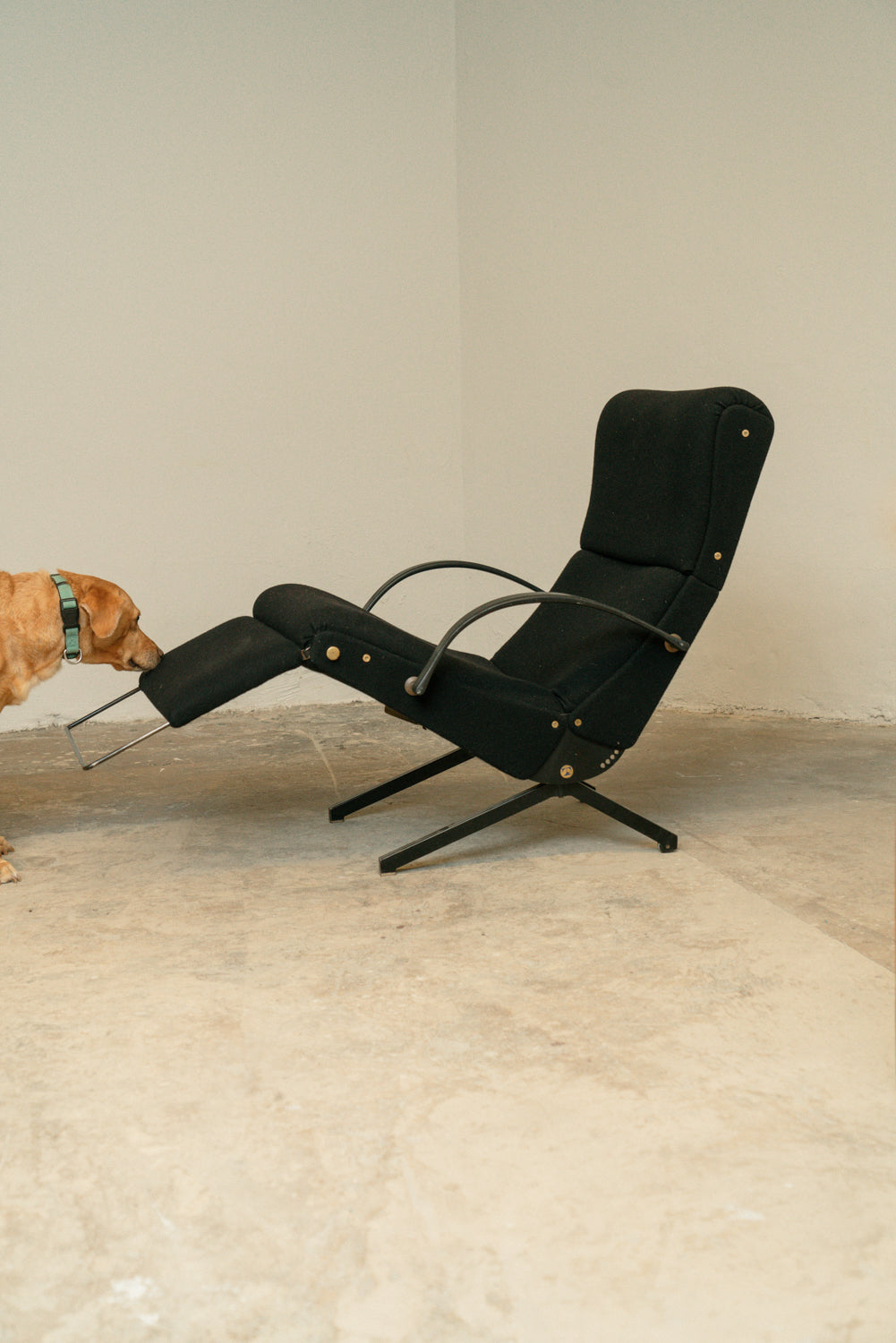 Osvaldo Borsani P40 lounge chair, Tecno