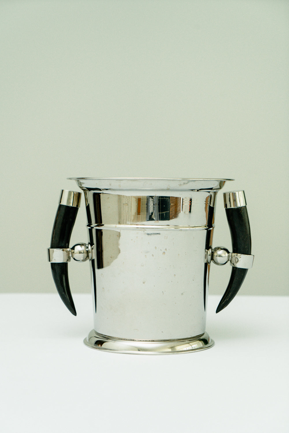 Ice bucket with horns