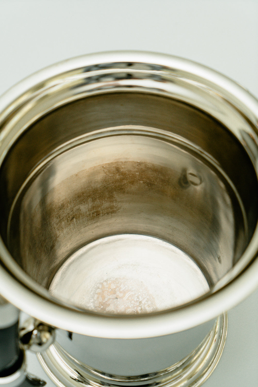 Ice bucket with horns