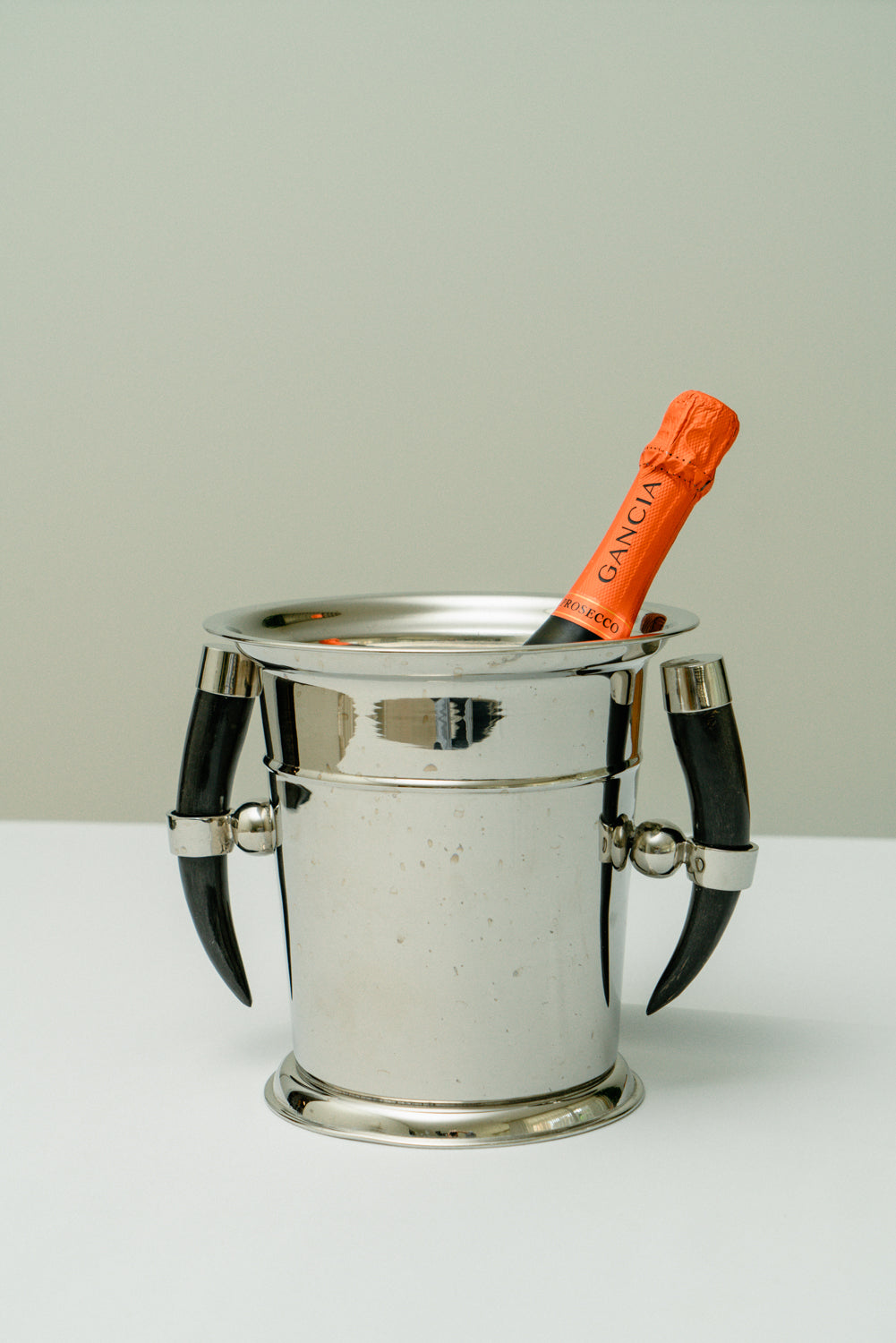 Ice bucket with horns