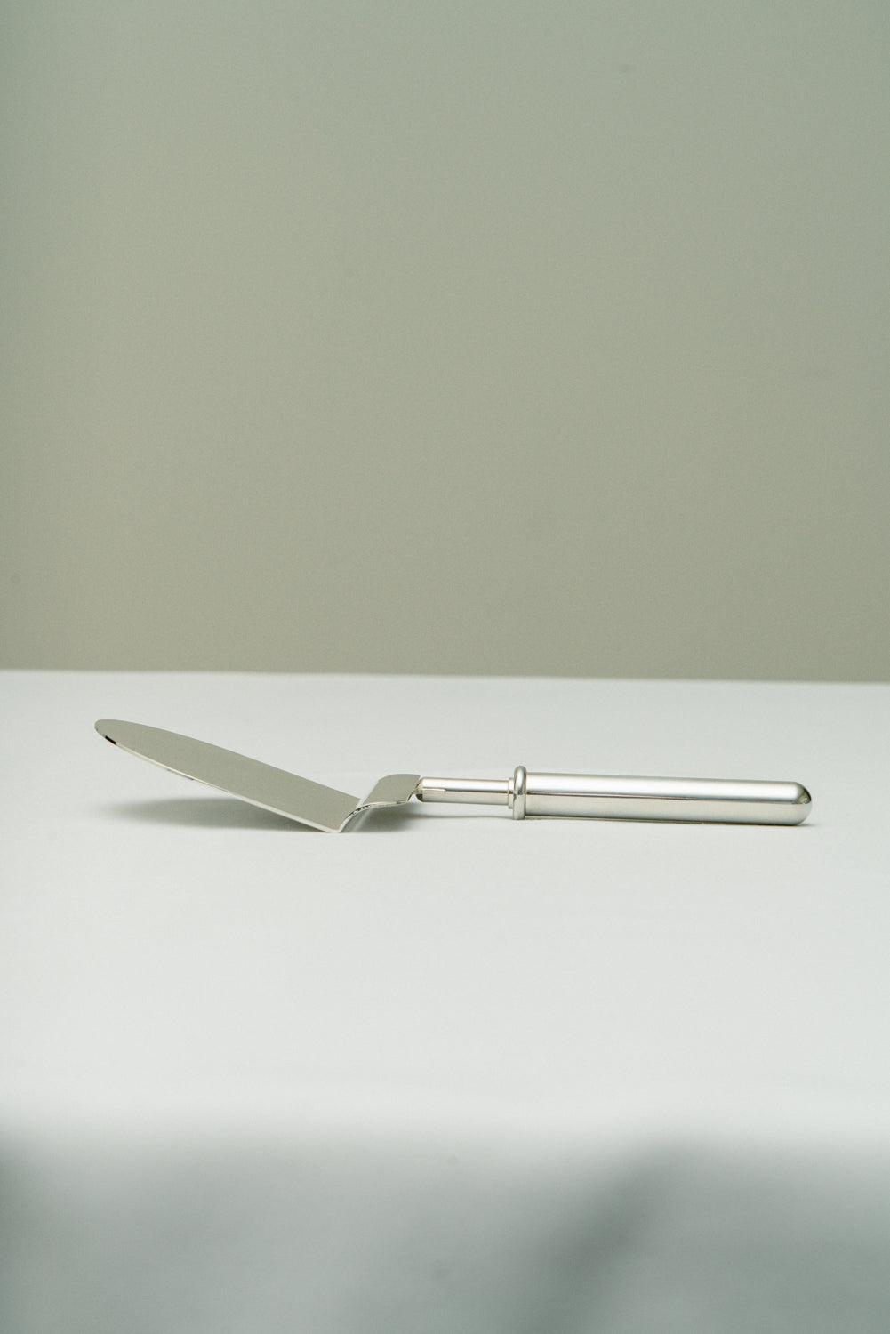 Cake Shovel