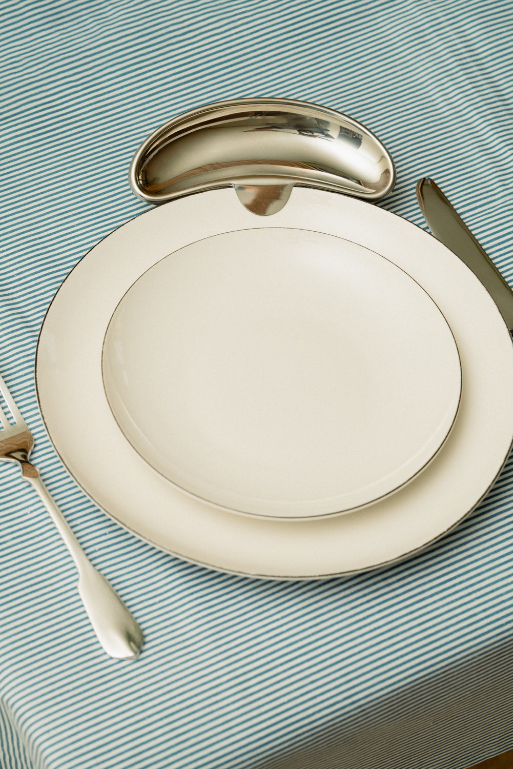 Clip-on fish bone plate (set of 8)