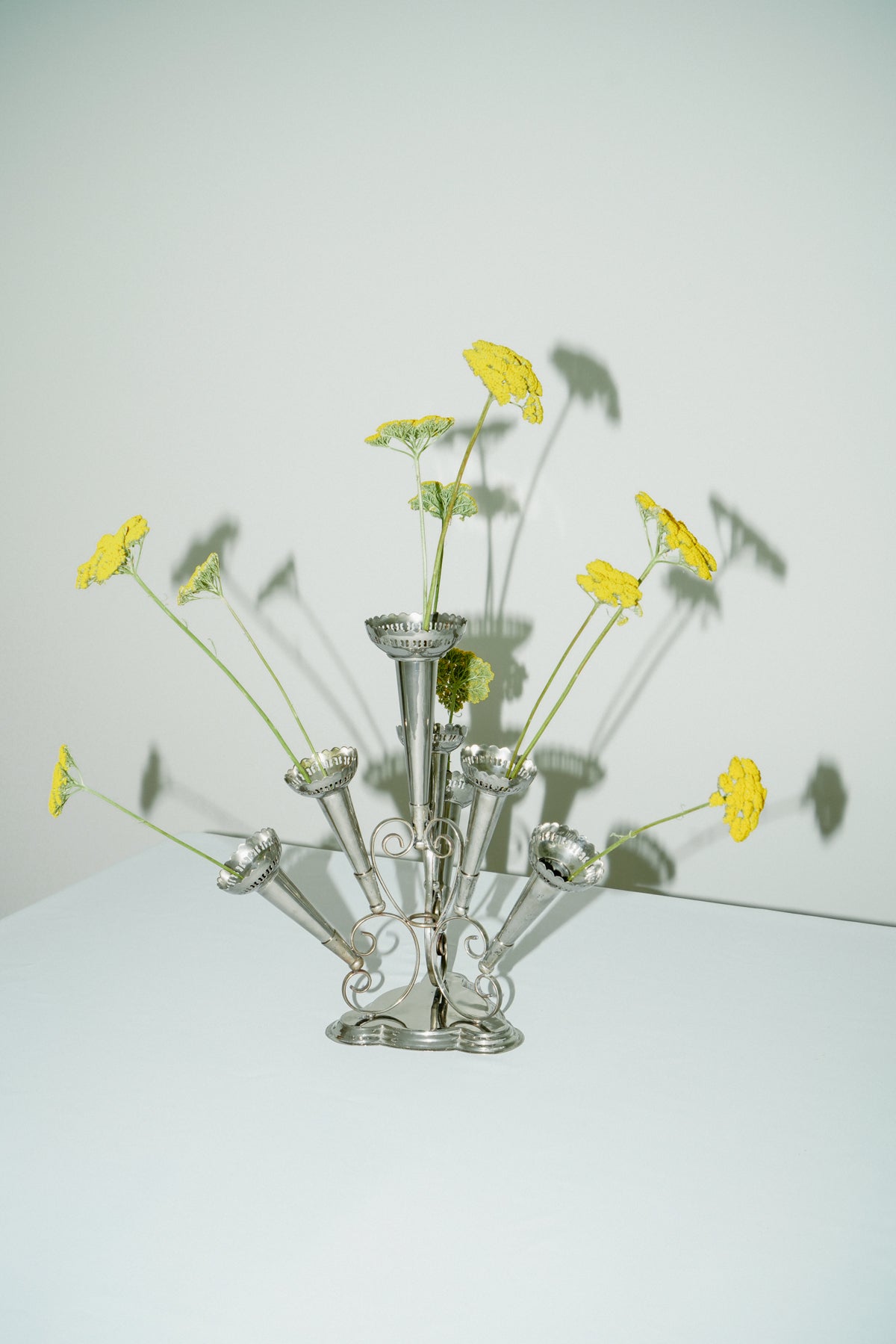 Soliflore, 7 vases