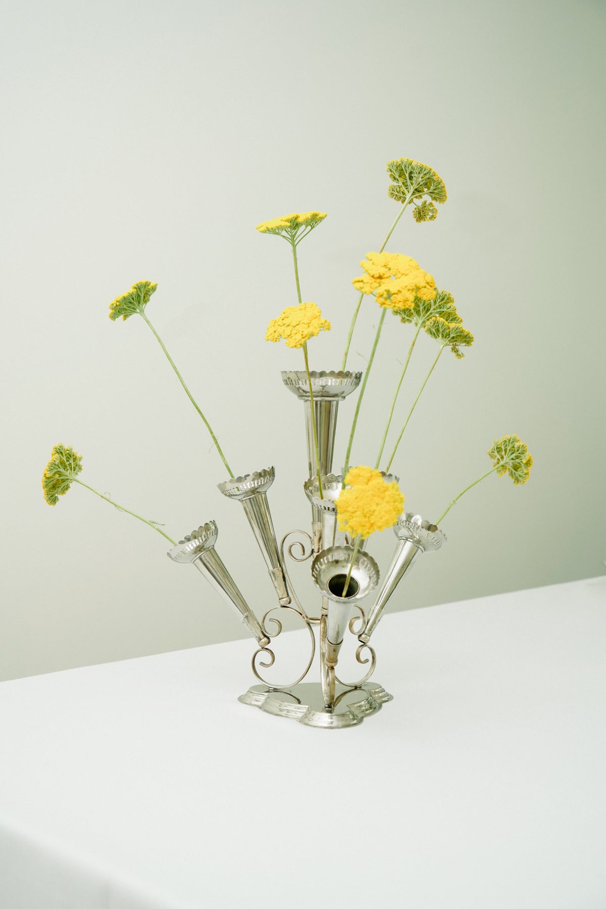 Soliflore, 7 vases
