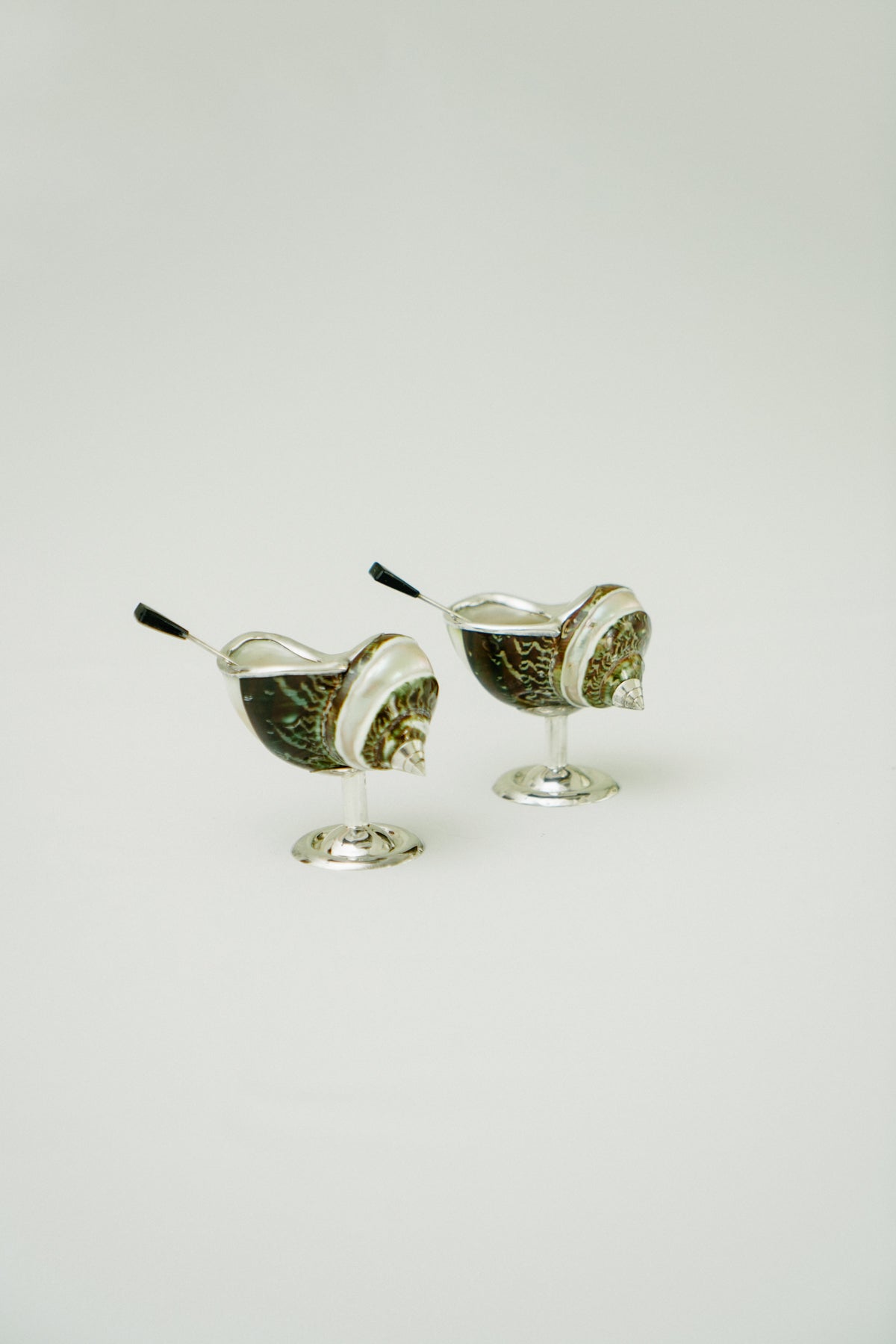 Set of 2 turbo shell salt cellars