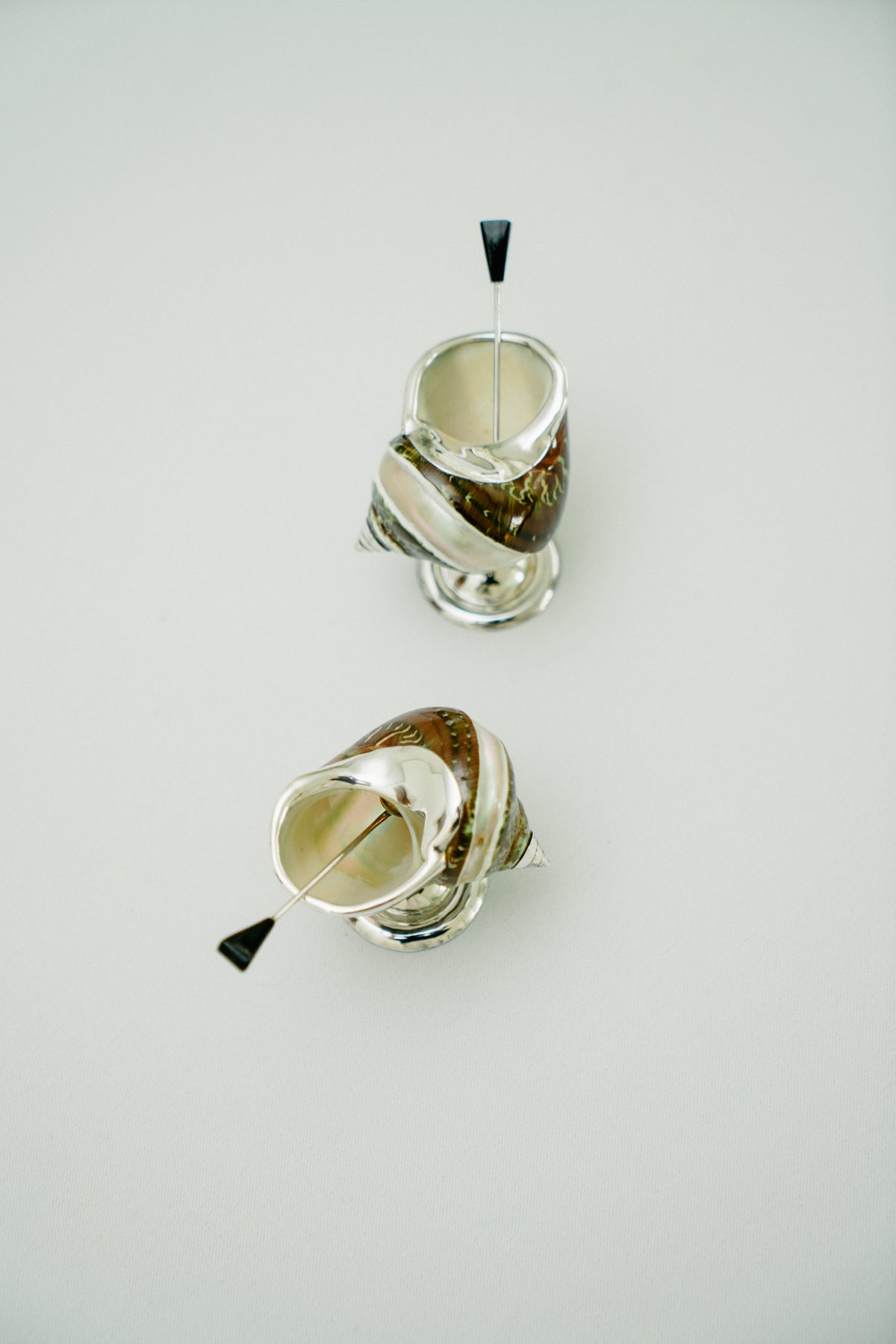 Set of 2 turbo shell salt cellars