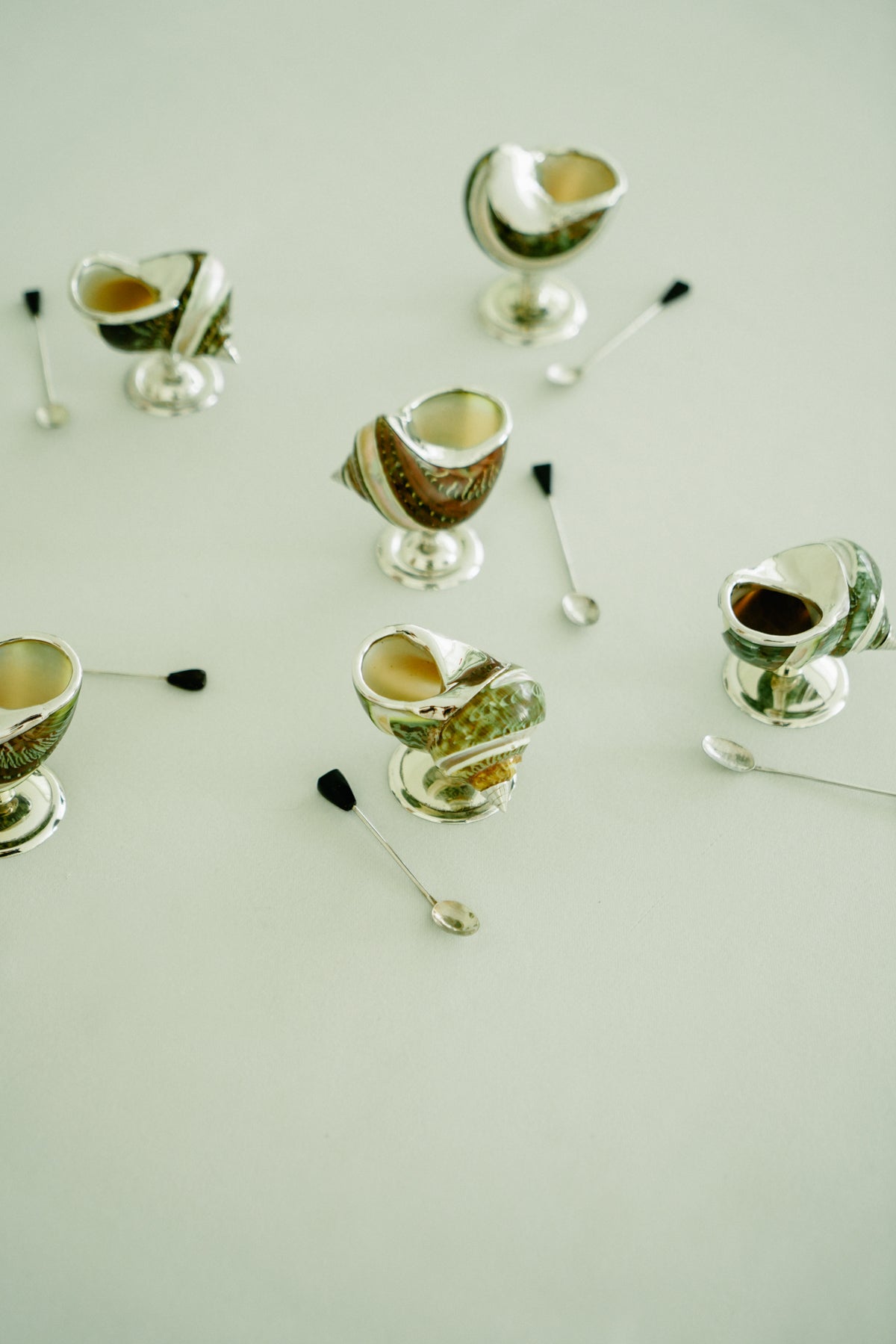 Set of 2 turbo shell salt cellars