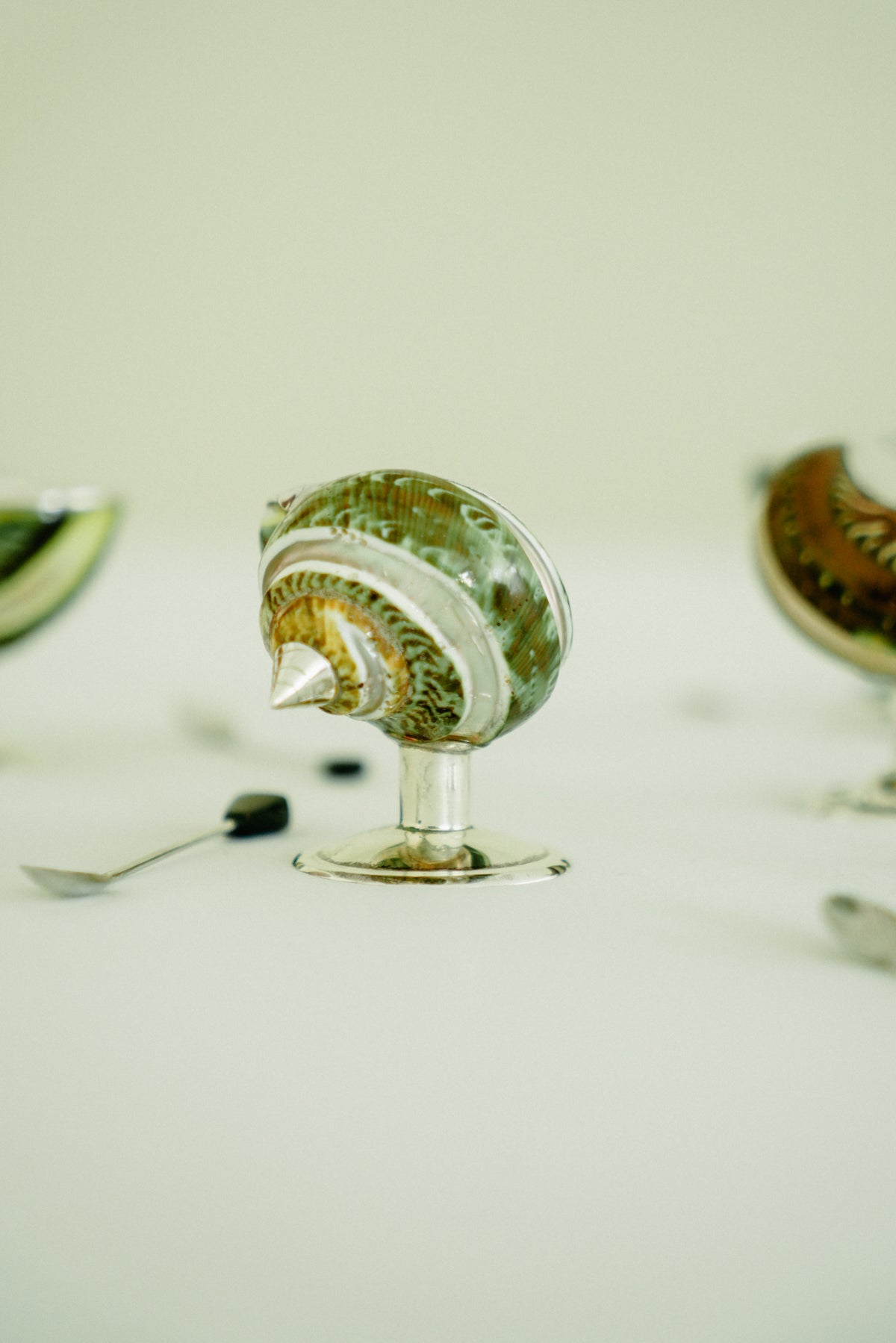 Set of 2 turbo shell salt cellars