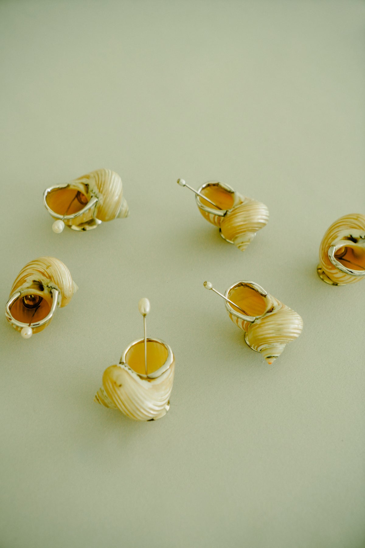Set of 2 natural shell salt cellars