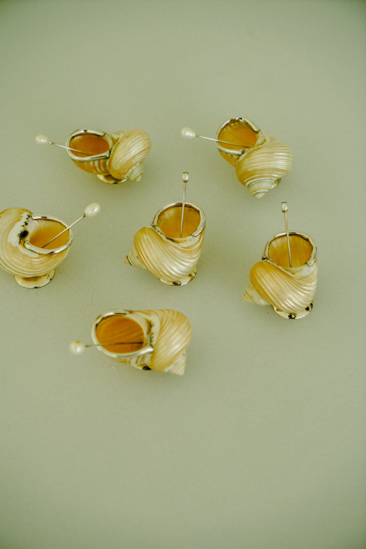 Set of 2 natural shell salt cellars