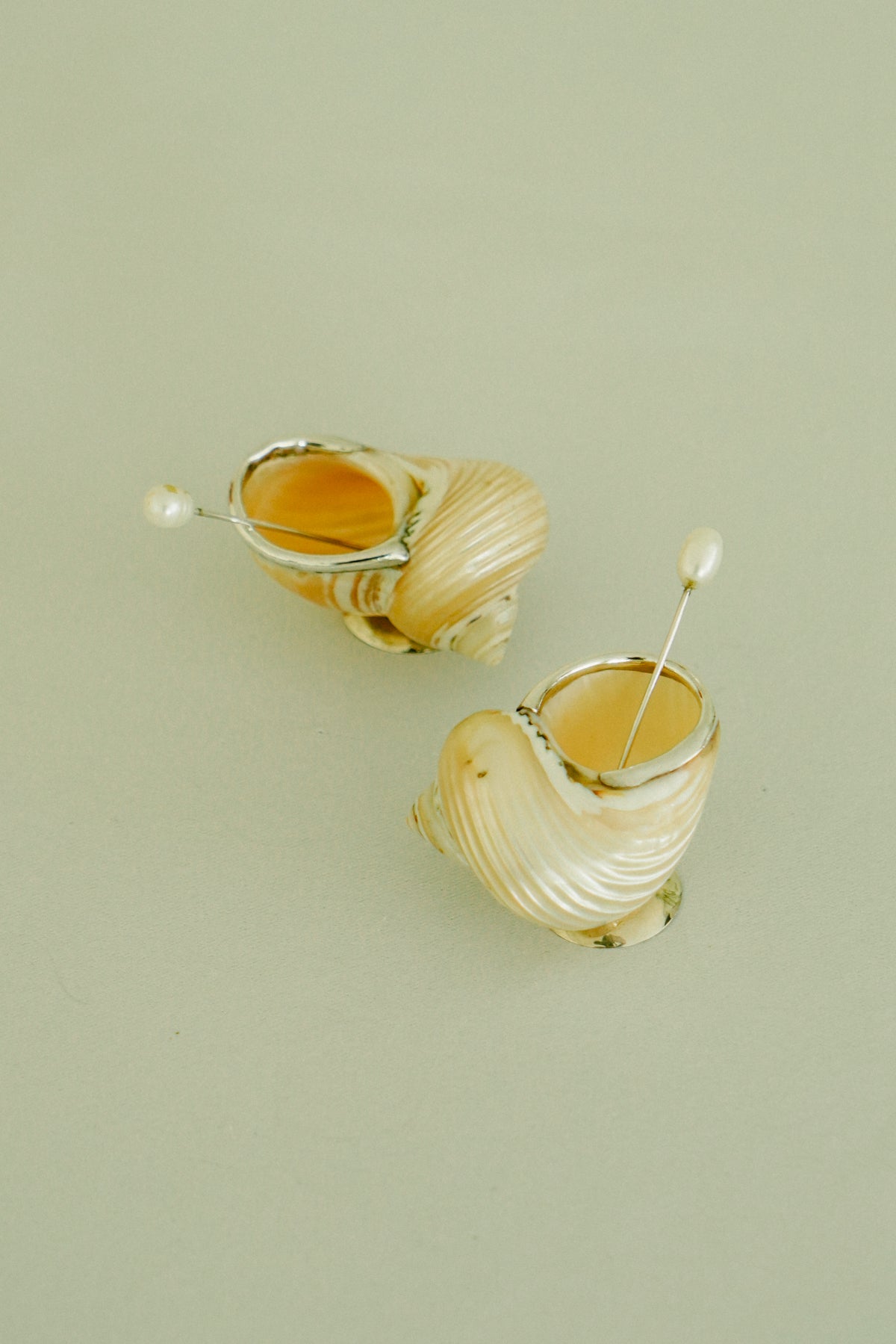 Set of 2 natural shell salt cellars