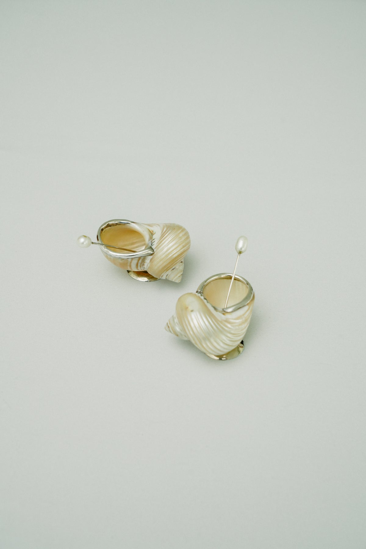 Set of 2 natural shell salt cellars