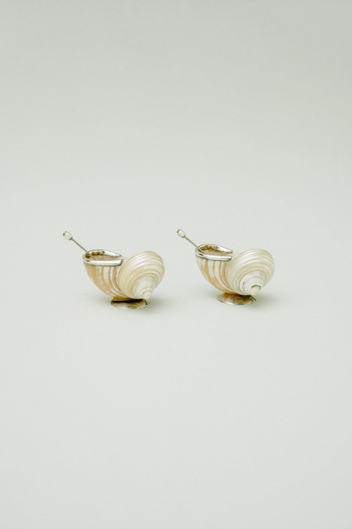 Set of 2 natural shell salt cellars