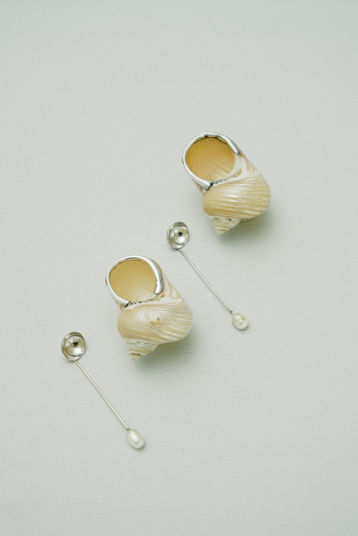 Set of 2 natural shell salt cellars