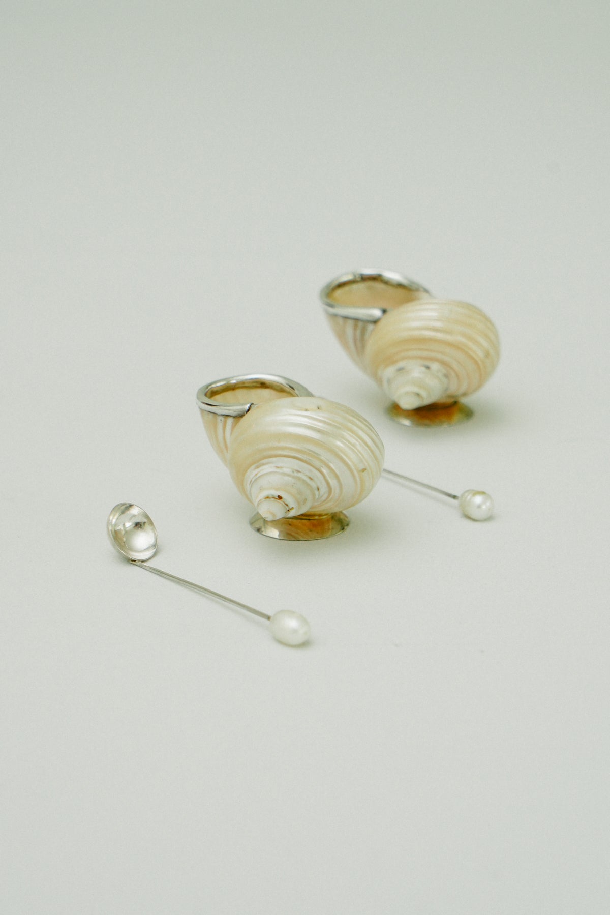 Set of 2 natural shell salt cellars