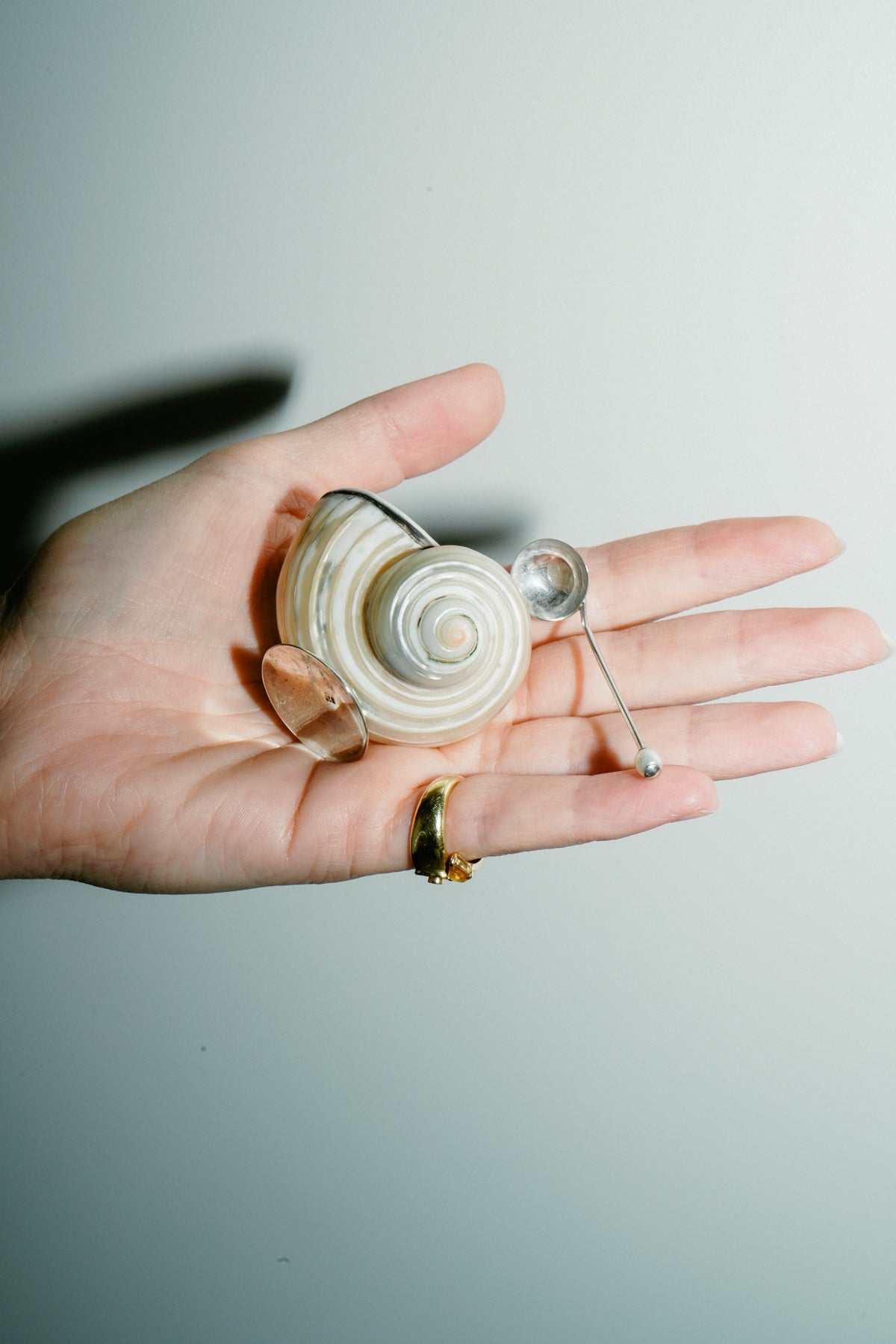 Set of 2 natural shell salt cellars