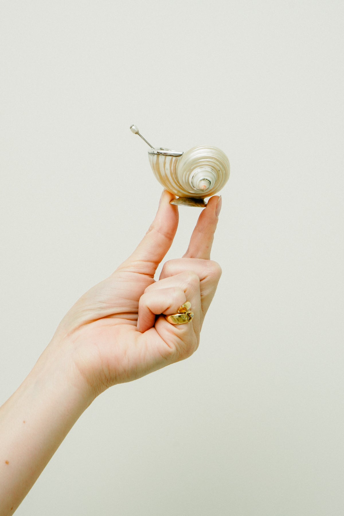 Set of 2 natural shell salt cellars