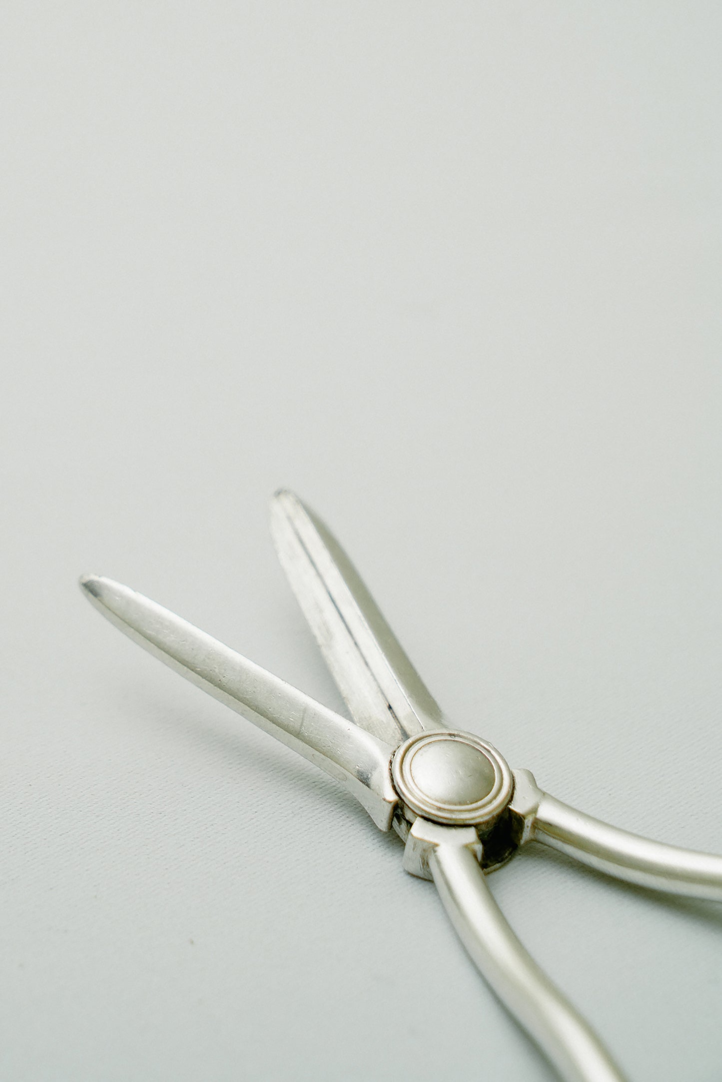 Grape Scissors